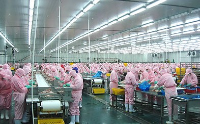 深圳铭基食品有限公司生产线