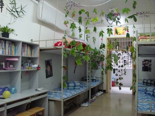推进优雅寝室建设,构建和谐温馨校园——电子电气工程